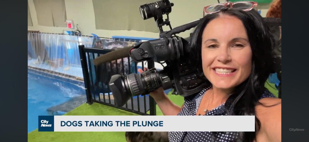 CityNews filming at the Indoor Dog Pool Wellness Centre