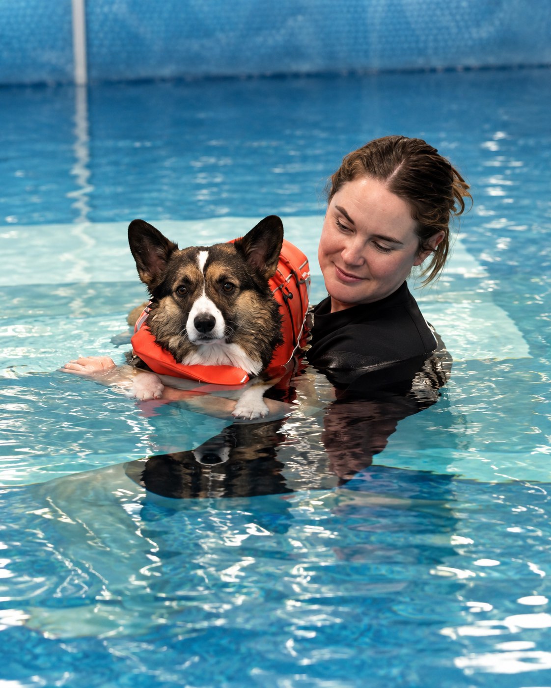 Lucy calmly supporting a corgi during a guided pool session at the Indoor Dog Pool